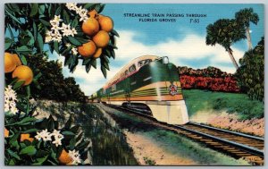 Postcard c1940s Streamline Train Passing Through Florida Groves Temperature