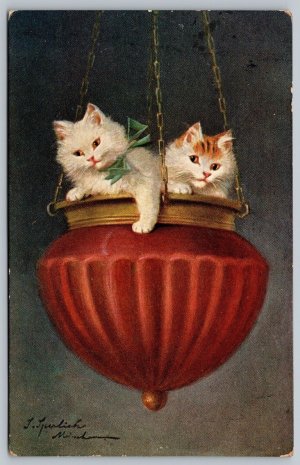 Postcard 1911 Artist Signed Sophie Sperlich Kittens In Hanging Pot To Sutorville