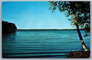Postcard Kincardine Ontario c1961 Scenic View Lake Bruce County 