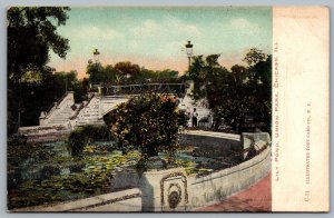 Postcard Chicago Illinois c1905 Lily Pond Union Park Glitter Applique Unused UDB
