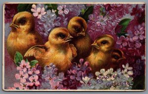 Postcard c1910s Easter Greetings Embossed Five Chicks Flowers