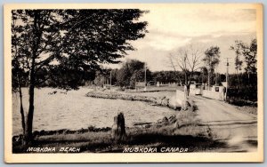 Postcard Muskoka Beach Ontario Canada c1930s Scenic View