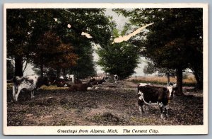 Postcard Alpena MI c1930s Greetings from Alpena Michigan The Cement City Cows