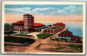 Postcard Erie PA c1916 Fish Hatchery and Water Works White Border Old Cars
