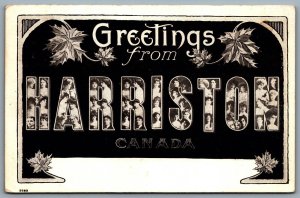 Postcard c1909 Greetings From Harriston Canada Ontario Large Letter Warwick
