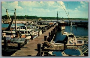 Postcard Gulfport MS c1950s Charter Boats Deep Sea Fishing Municipal Pier
