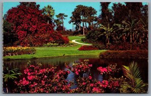 Postcard Cypress Gardens Florida c1964 America’s Tropical Wonderland Lake Eloise