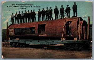 Postcard 1917 Two Natives of Washington Bear Den & Dwelling In Saw Log Rail Car