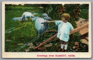 Postcard Bassett NE c1910s Greetings From Bassett Nebraska Child Petting Sheep
