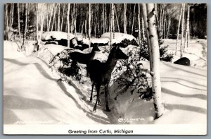 Postcard RPPC c1942 Curtis MI Greetings From Curtis Michigan Northwoods Deer