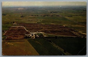 Postcard Strathmore Alberta c1975 Western Feedlots Ltd. Aerial View 