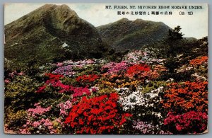 Postcard Nozake Unzen Japan c1920s Mt Fugen Mt Miyoken Kanko Hotel M. M. Usuki