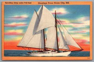 Postcard Ocean City MD c1940s Greetings From Ocean City Speeding Under Full Sail
