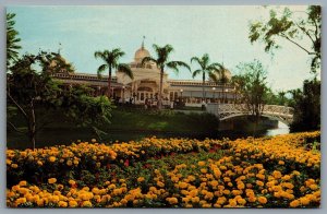 Postcard Walt Disney World FL c1970s The Crystal Palace Restaurant Plaza Canal