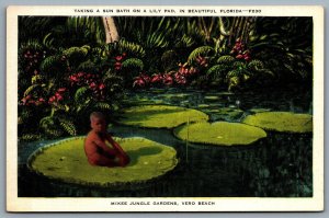 Postcard Vero Beach FL c1920s McKee Jungle Gardens Taking a Sun Bath on Lily Pad