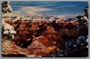Postcard Grand Canyon National Park AZ c1954 Fred Harvey Snow Capped Mountains