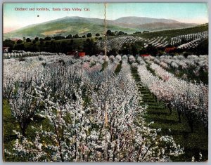 Postcard Santa Clara Valley CA c1908 Orchard and Foothills BiFold Folding 