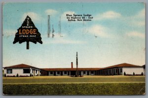 Postcard Gallup NM c1952 Blue Spruce Lodge John Milosevich Owner Route 66