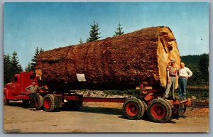 Postcard Oregon c1950s Giant Fir Log on Truck 13000 Board Feet Speciman Unused