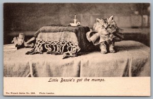 Postcard c1909 Little Bessies Got The Mumps Kitten Photo by Landor Wrench Series