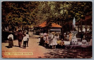 Postcard Denver CO c1923 Elitchs Gardens Amusement Park 