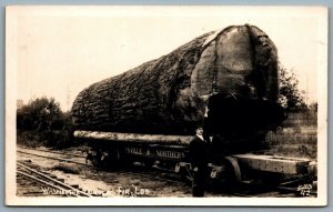 Postcard RPPC c1920s Washington Douglas Fir Log Marysville & Northern Railroad