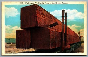 Postcard Washington c1930s Toothpicks From a Washington Forest Unused Rail Car