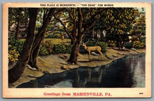 Postcard Marienville PA c1950 Scenic Greetings 2 Bucks Too Dear For Words..