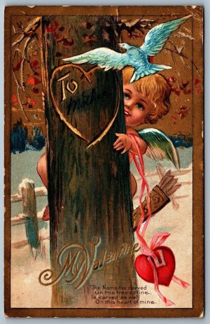 Postcard c1909 My Valentine Cupid With Heart Carved in Tree To Mother Dove 