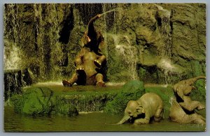 Postcard Walt Disney World FL 1970s Elephant Bathing Pool Adventureland 01110209