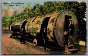 Postcard Detroit Michigan c1911 Spruce Log At Palmer Park 6 Bar Machine Cancel