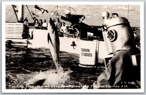 Postcard RPPC 1940s Marineland Florida Feeding Time Marine Studios Dolphin Diver