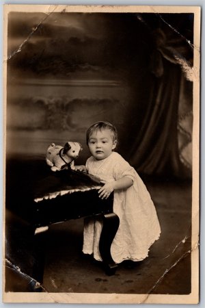 Postcard RPPC c1910s Studio Photo Young Child Dog Toy by Duke Dawson Altrincham