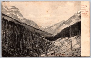 Postcard Field Alberta c1906 Kicking Horse Canon Assiniboia CDS Cancel Grenfell