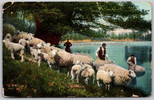 Postcard Dunnville Ontario c1909 River Scene Sheep Split Ring Stromness *as is*