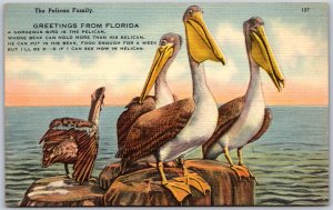 Postcard c1940s Greetings From Florida The Pelican Family Poem Rhyme Unused