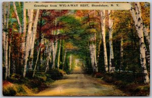 Postcard Shandaken New York Greetings From Wyl-A-Way Rest Scenic Ulster County