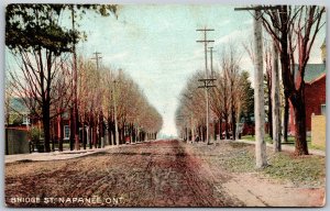 Postcard Napanee Ontario c1910s Bridge St. Lennox and Addington County