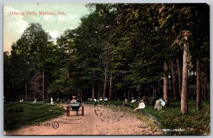 Postcard Midland Ontario c1907 Driving Park Simcoe County by J. W. Bald