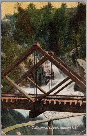 Postcard Nelson British Columbia c1911 Cottonwood Creek Scenic View from Salmo