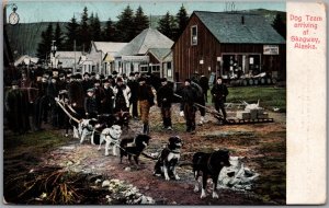 Postcard Skagway Alaska c1910s Dog Team Arriving Stores