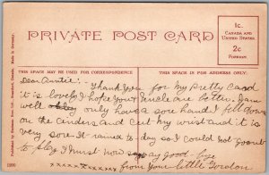 Postcard Brantford Ontario c1910s Golf Club House Brant County by Stedman Bros. (back)