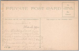 Postcard Brantford Ontario c1910s Soldiers Monument and Jubilee Terrace (back)