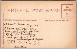 Postcard Brantford Ontario c1910s Public Library Building Carnegie Stedman Bros (back)