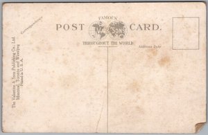 Postcard Ottawa Ontario c1910 Parliament Buildings Original Centre Block as is (back)