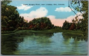 Postcard Lindsay Ontario 1920s Upper Scugog River Scenic View Victoria County