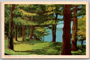 Postcard Gravenhurst Ontario c1953 The Pines at Gull Lake Scenic View by PECO