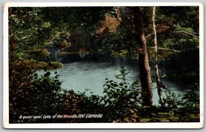Postcard Lake of The Woods Ontario A Queit Spot Scenic View