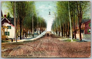 Postcard Napanee Ontario c1910s Piety Hill Lennox and Addington County B