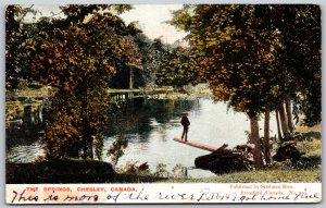 Postcard Chesley Ontario c1907 The Springs Split Ring Vesta by Stedman